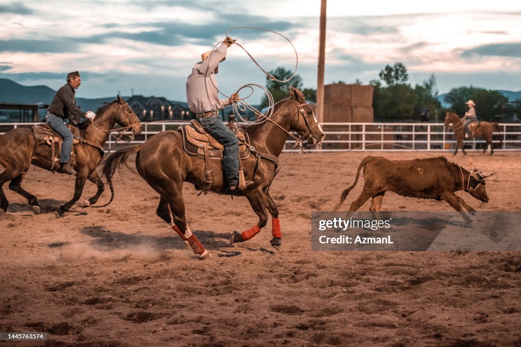 Cowboys Lassoing In Rodeo Arena High-Res Stock Photo - Getty Images