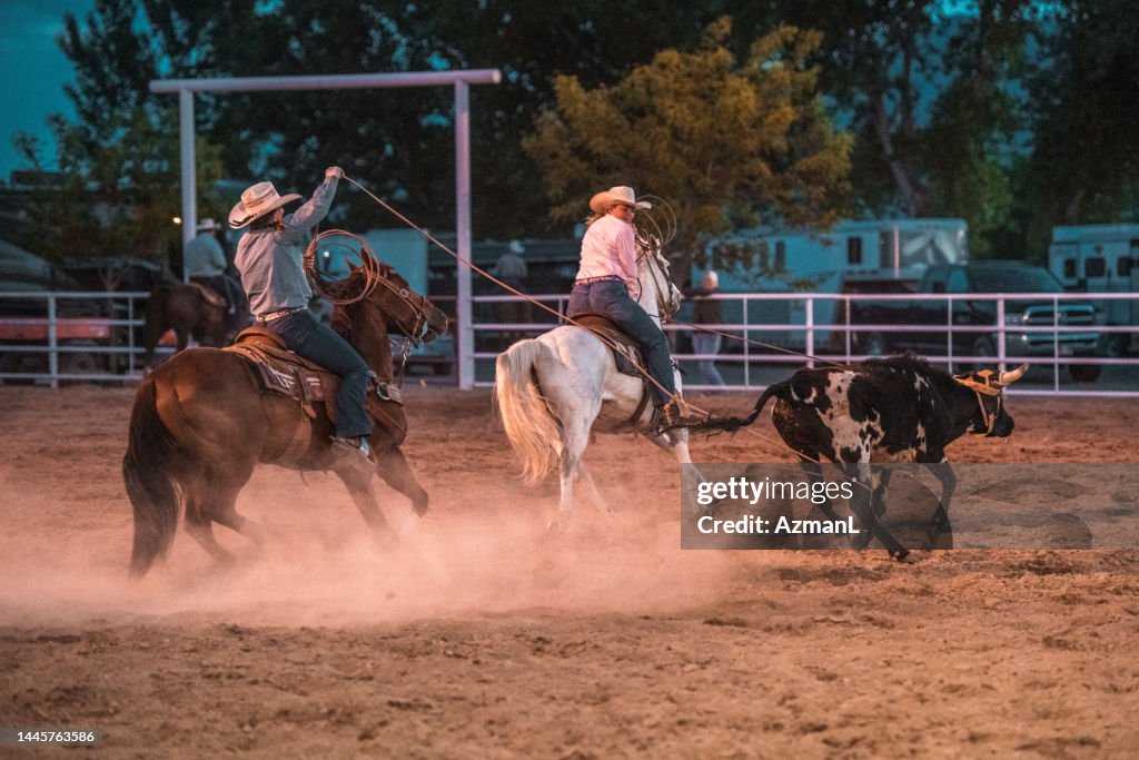 Cowboys Lassoing In Rodeo Arena High-Res Stock Photo - Getty Images