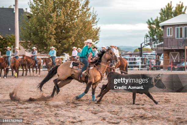 cowboys and cowgirls steer roping - saddle stock pictures, royalty-free photos & images