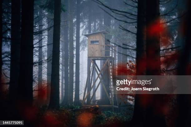 hunter's seat in the foggy forest - leaf on roof stockfoto's en -beelden