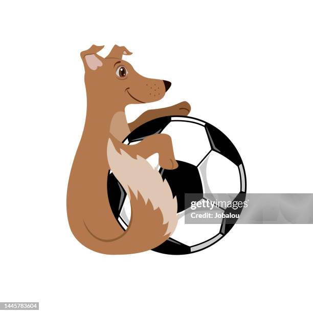 ilustrações, clipart, desenhos animados e ícones de bonito cão bola de futebol símbolo mascote - funny football cartoons