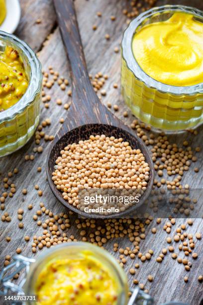 different types of mustard and mustard seeds on a rustic wooden board - mustard plant stock pictures, royalty-free photos & images