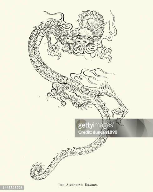 japanischer drache, nihon no ryū, legendäre kreaturen in der japanischen mythologie und folklore - drache stock-grafiken, -clipart, -cartoons und -symbole
