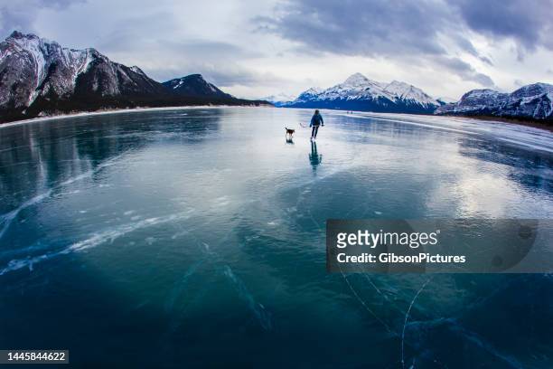 una donna che pattina su un lago ghiacciato con il suo cane - hockey skates foto e immagini stock