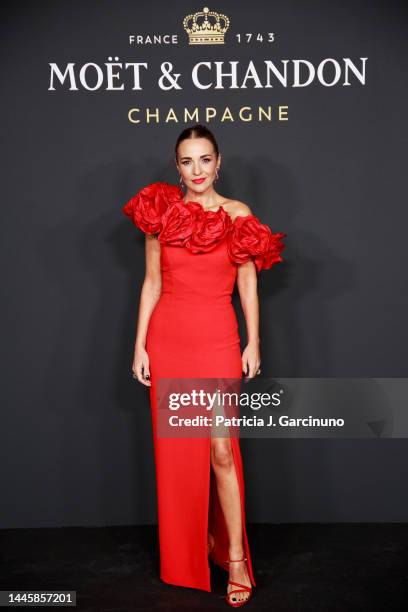 Paula Echevarria attends the Moet & Chandon Party at Palacio De Cibeles on November 30, 2022 in Madrid, Spain.