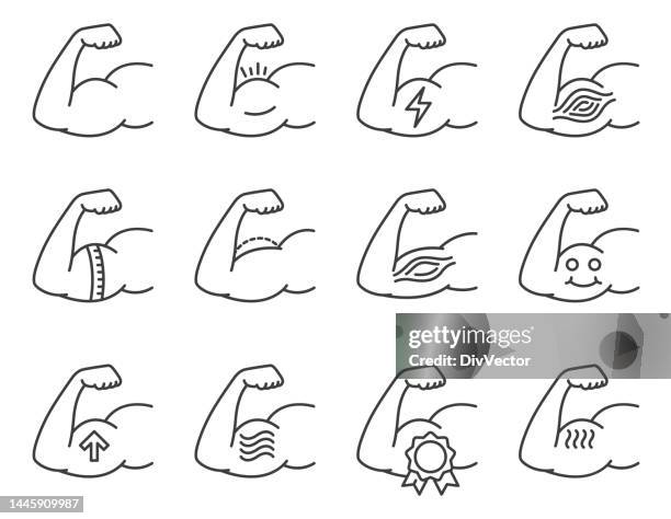 muskel-icon-set - muskel stock-grafiken, -clipart, -cartoons und -symbole