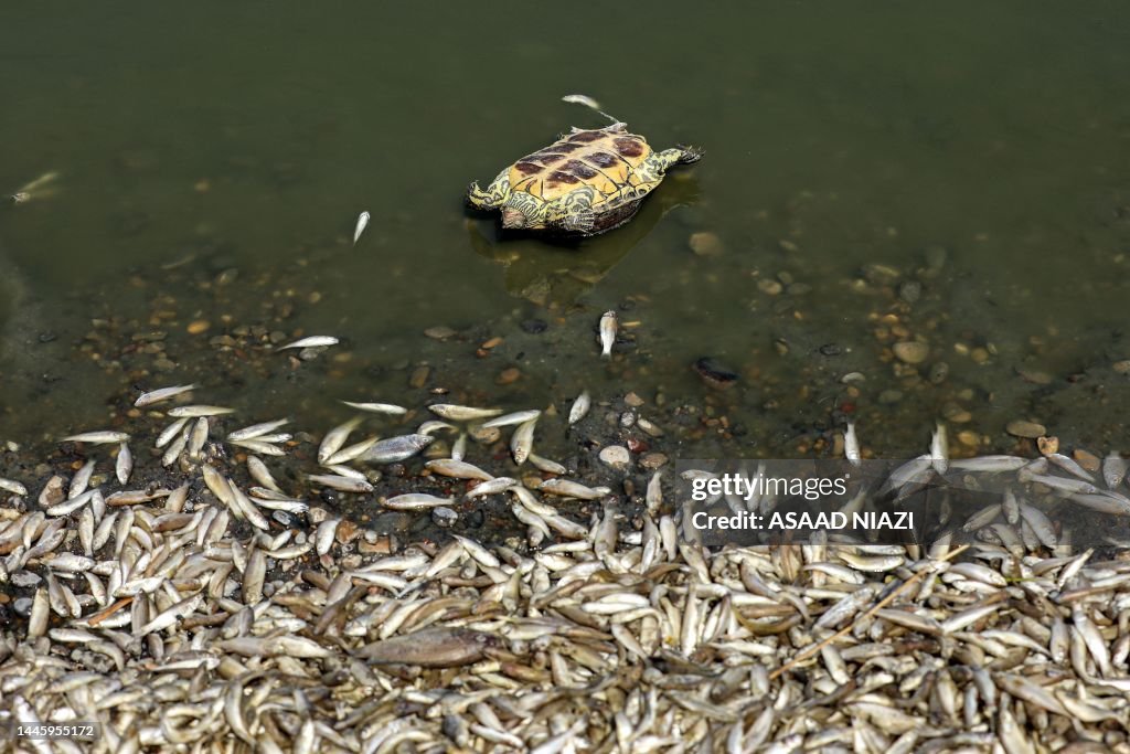 IRAQ-ENVIRONMENT-WATER-RIVER-CLIMATE-DROUGHT