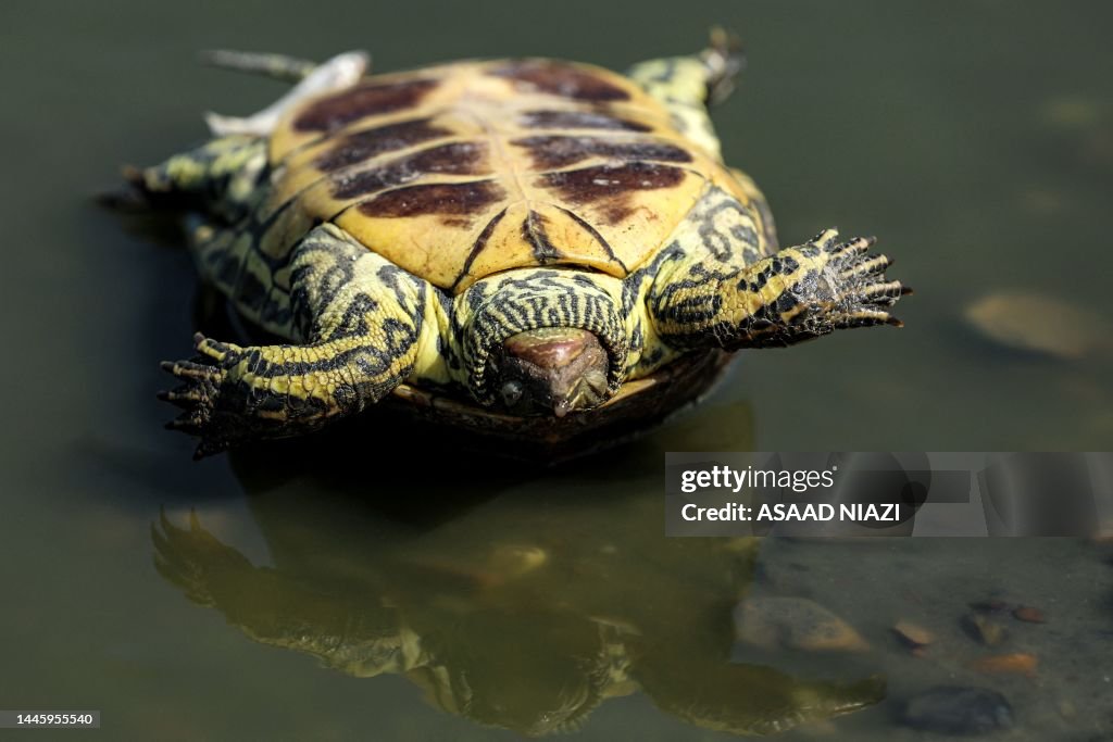 TOPSHOT-IRAQ-ENVIRONMENT-WATER-RIVER-CLIMATE-DROUGHT