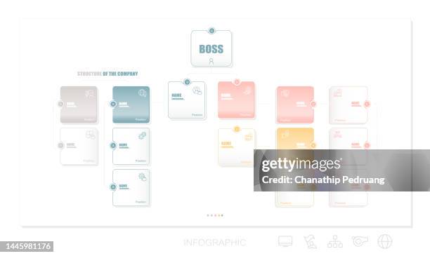 company organization chart. structure of the company. business hierarchy organogram chart infographics. corporate organizational structure graphic elements. stock illustration organization chart, infographic, chart, diagram, hierarchy stock illustration - org chart background stock illustrations