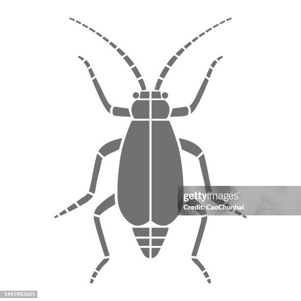 beetle - black cockroach stock illustrations