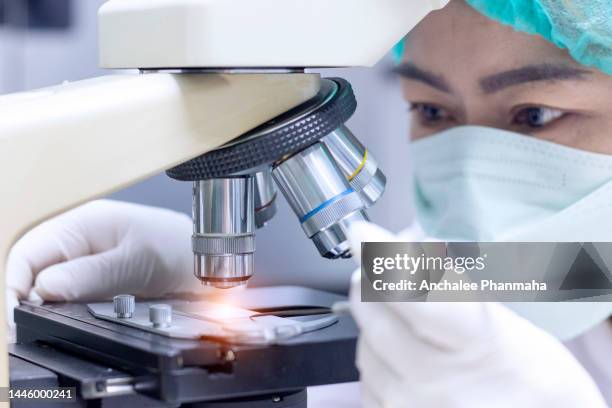 Rna Samples Photos and Premium High Res Pictures - Getty Images