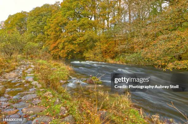 River Rothery 82 River Rothay Stock Photos, High-Res Pictures, and Images - Getty Images
