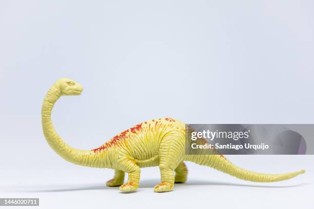 close-up of diplodocus - diplodocus stockfoto's en -beelden
