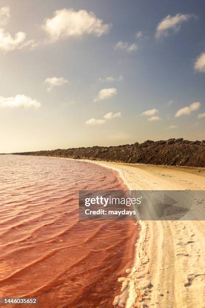 salt basin at walvis bay - walvis bay stock-fotos und bilder