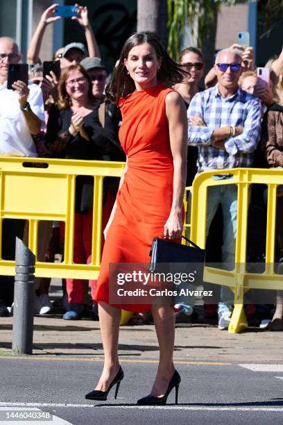 Queen Letizia of Spain attends the ceremony of the "Gold Medals for Merit In Fine Arts 2021" at Tenerife Espacio de las Artes on December 01, 2022 in...