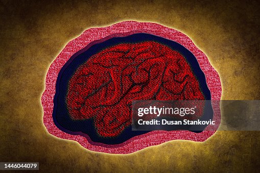Polyester texture the human brain Polyester texture the human brain