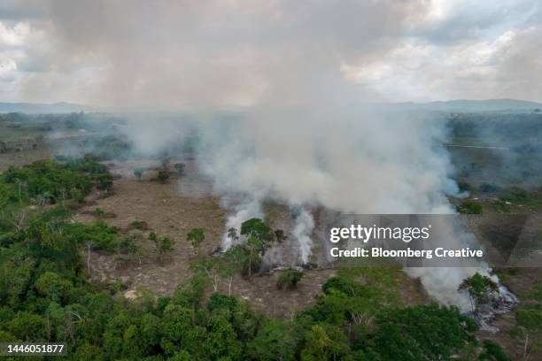 amazon rainforest destruction - amazon rainforest deforestation brazil stock pictures, royalty-free photos & images