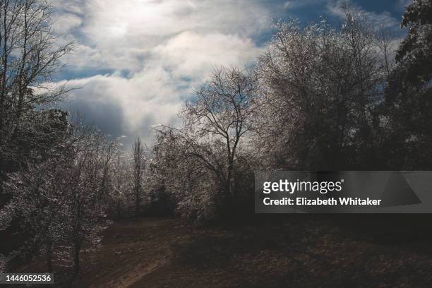 ice winter landscape - icepick stock pictures, royalty-free photos & images