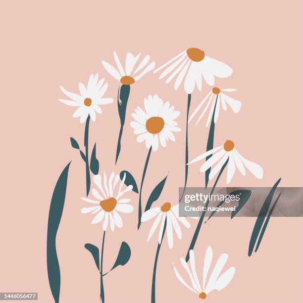 bildbanksillustrationer, clip art samt tecknat material och ikoner med handmade chrysanthemum flower elements,vector hand drawn flower decoration yellow floral pattern - buskmargerit