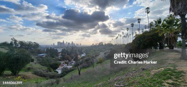 looking at downtown los angeles from elysian park - hollywood hills los angeles stock-fotos und bilder