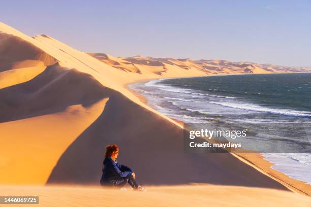 woman admiring the landscape in namibia - namibia women stock pictures, royalty-free photos & images