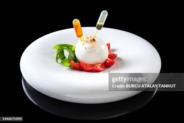 burrata cheese plate - burrata stock pictures, royalty-free photos & images