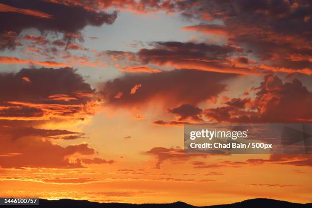 low angle view of dramatic sky during sunset,united states,usa - goldene stunde stock-fotos und bilder