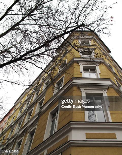 view from below of building and bare tree in berlin, germany - bare tree stock-fotos und bilder