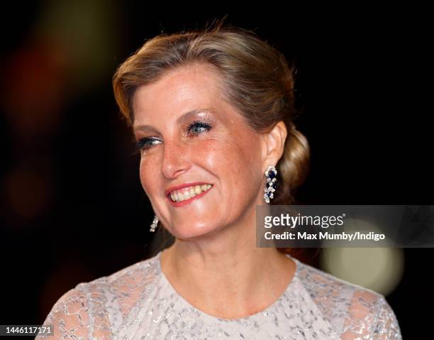 Sophie, Countess of Wessex attends the 2022 Royal Variety Performance at the Royal Albert Hall on December 1, 2022 in London, England.