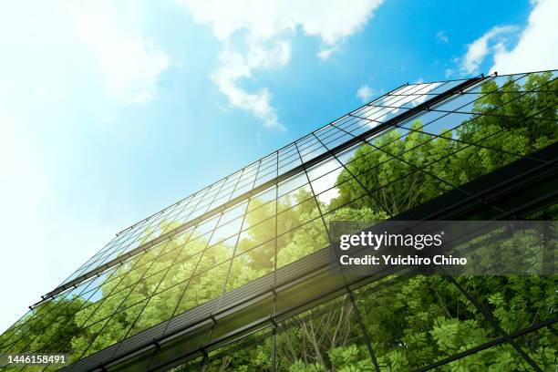 green building - green glass business stock-fotos und bilder