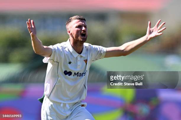Jackson Bird of the Tigers appeals during the Sheffield Shield match between Tasmania and South Australia at Blundstone Arena, on December 02 in...