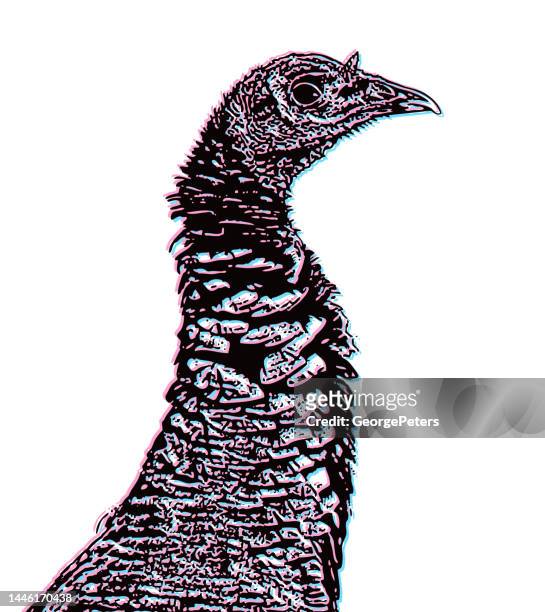 turkey head and neck with glitch technique - animal neck stock illustrations
