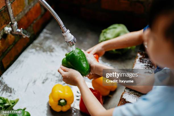 jeune garçon et fille asiatiques lavant des légumes frais - poivron photos et images de collection