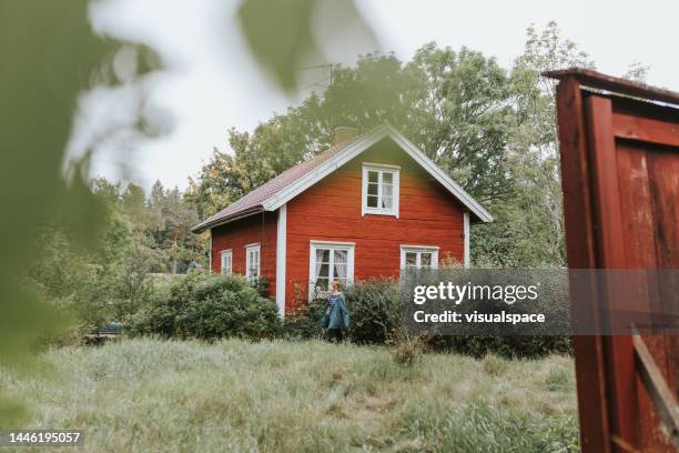 young woman spending time at her summer cottage - sweden house stock pictures, royalty-free photos & images