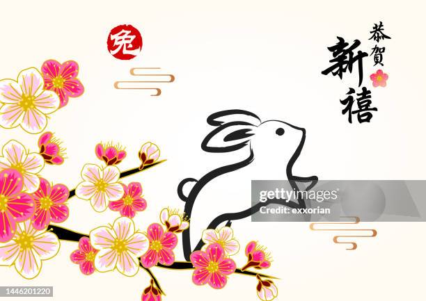 plum blossom of rabbit year - chinese new year stock illustrations