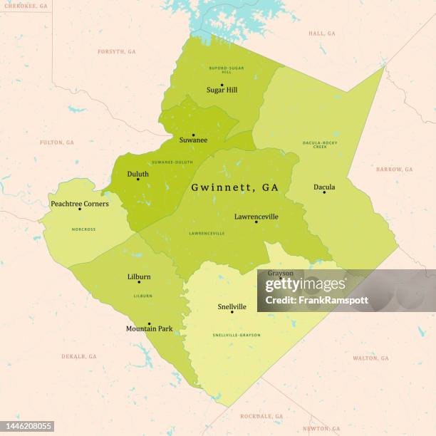 ga gwinnett county vector map green - chattahoochee stock illustrations