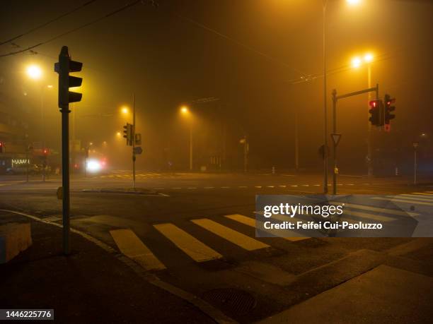 zebra crossing and traffic light at night in biel - zebrastreifen stock-fotos und bilder