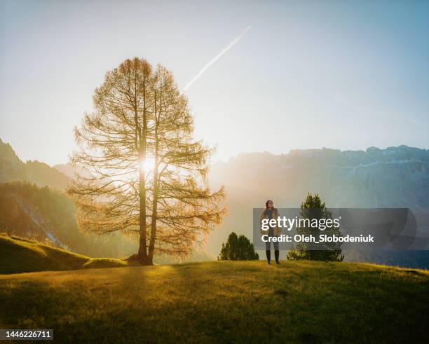 woman hiking  in dolomites  in autumn - establishing shot stock pictures, royalty-free photos & images
