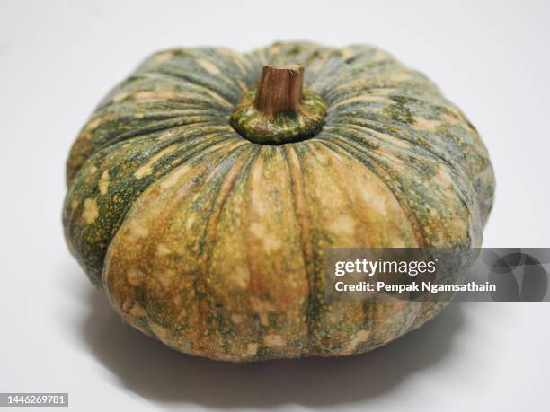 pumpkin cucurbita moschata duchesne - gourd bildbanksfoton och bilder