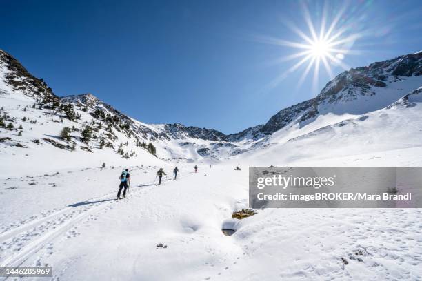 group of ski tourers during the ascent in schartlestal, ascent to kreuzjoch, sonnenstern, kuehtai, stubai alps, tyrol, austria - kuehtai foto e immagini stock