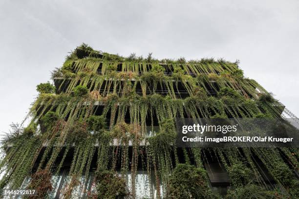 stockillustraties, clipart, cartoons en iconen met green building, calwer passage, stuttgart, baden-wuerttemberg, germany - groen dak