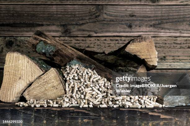 wood pellets, alternative to firewood, studio recording, germany - pellet foto e immagini stock