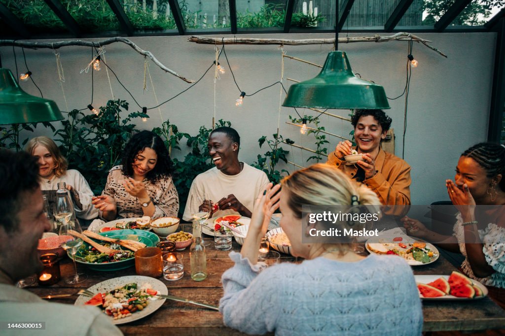 Cheerful business colleagues having dinner together in garden