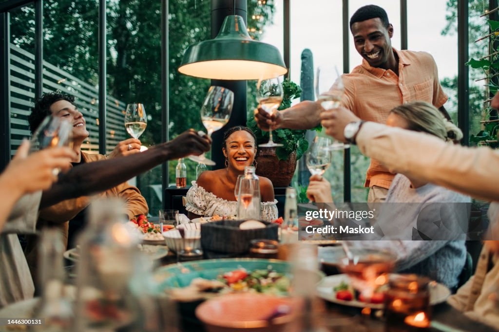 Happy multiracial male and female friends toasting drinks during dinner party in garden