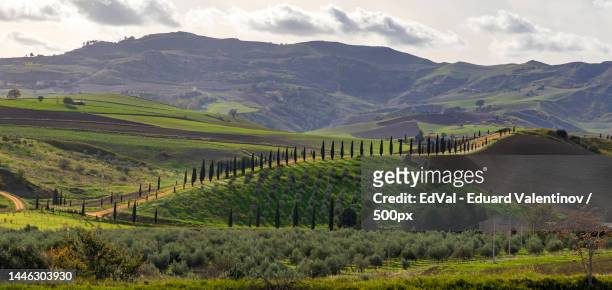 scenic view of agricultural field against sky,agrigento,italy - mezzogiorno stock-fotos und bilder