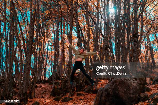 in the autumn season, the beautiful woman was photographed jumping into the air in the forest. - paparazzi x posed stock pictures, royalty-free photos & images