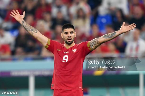Aleksandar Mitrovic of Serbia reacts during the FIFA World Cup Qatar 2022 Group G match between Serbia and Switzerland at Stadium 974 on December 02,...