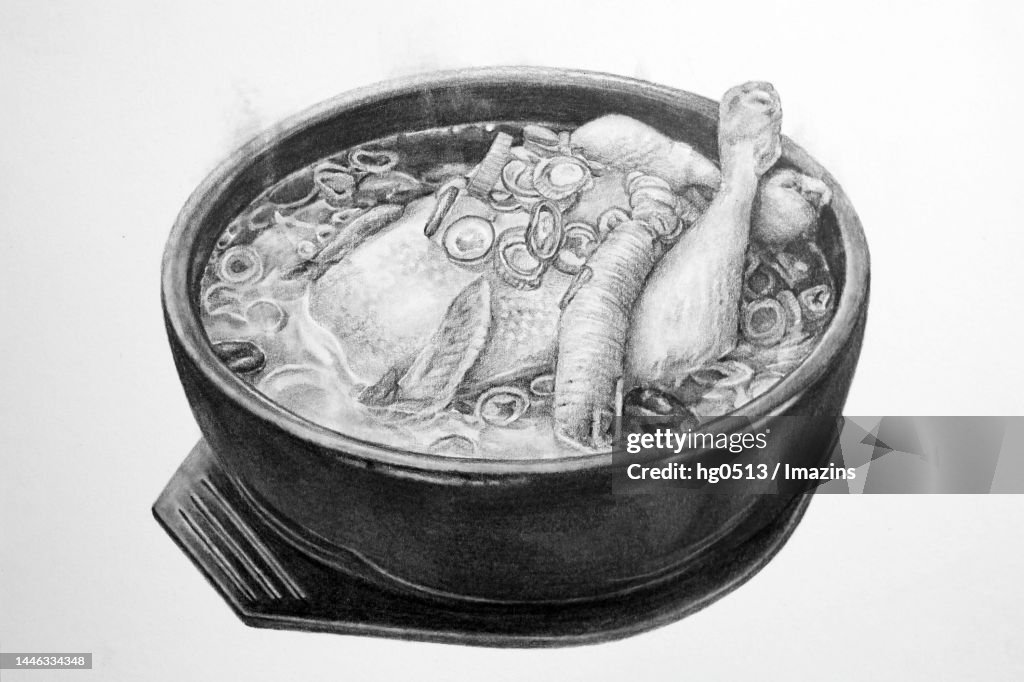 Samgyetang, food, illustration, pencil drawing