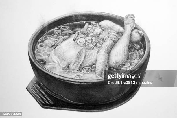 samgyetang, food, illustration, pencil drawing - chicken soup stock illustrations