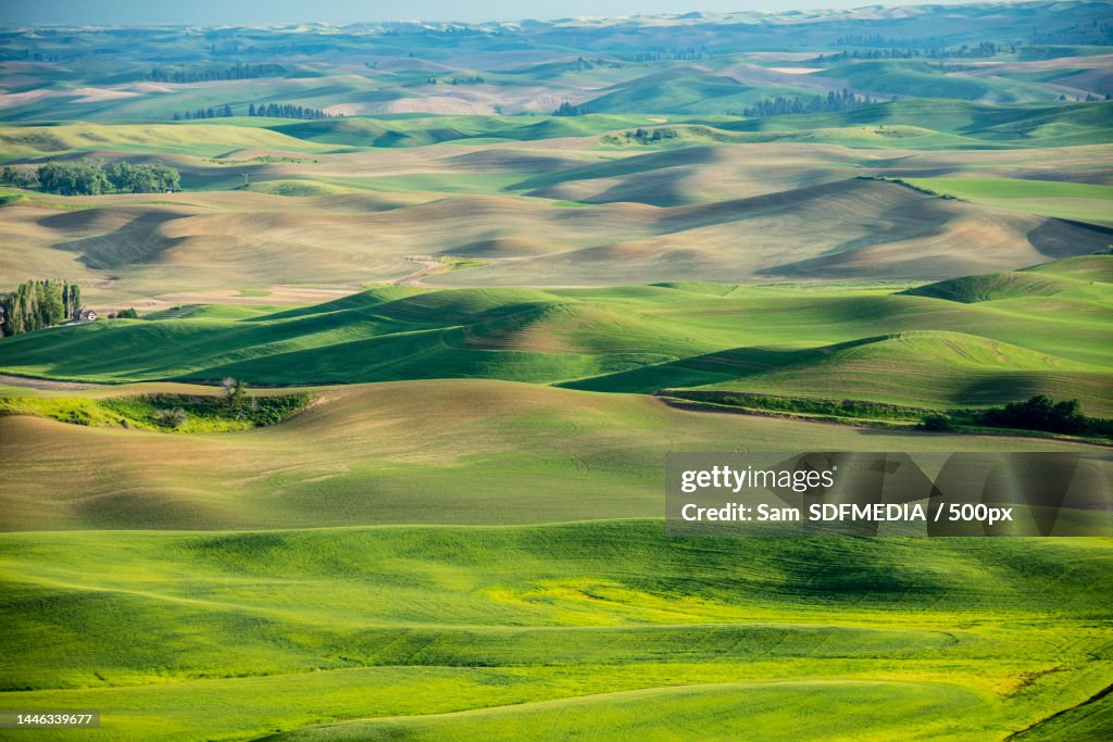 When nature seems both perfect and inspiring,Palouse,Washington,United States,USA